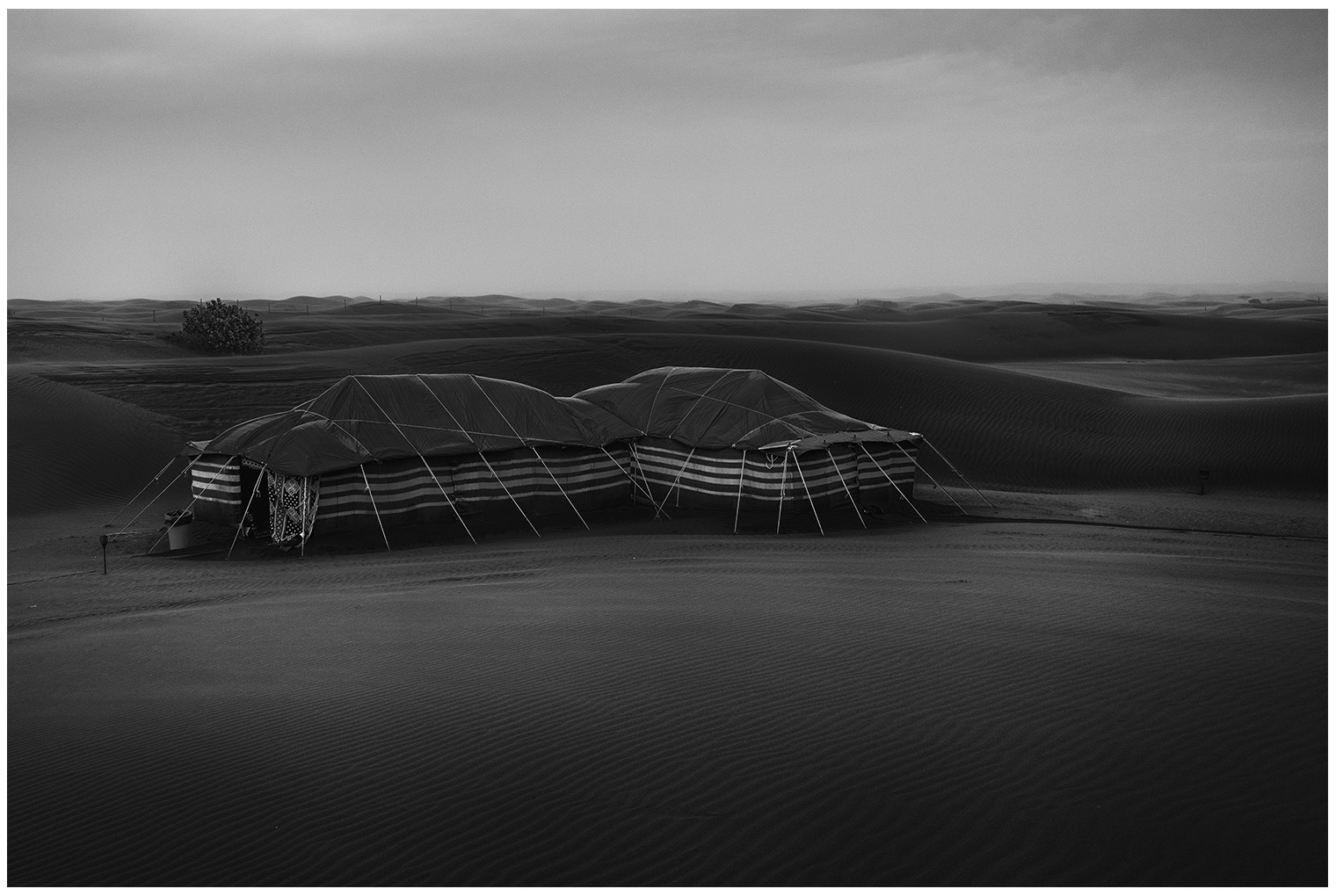 _DSC1261
